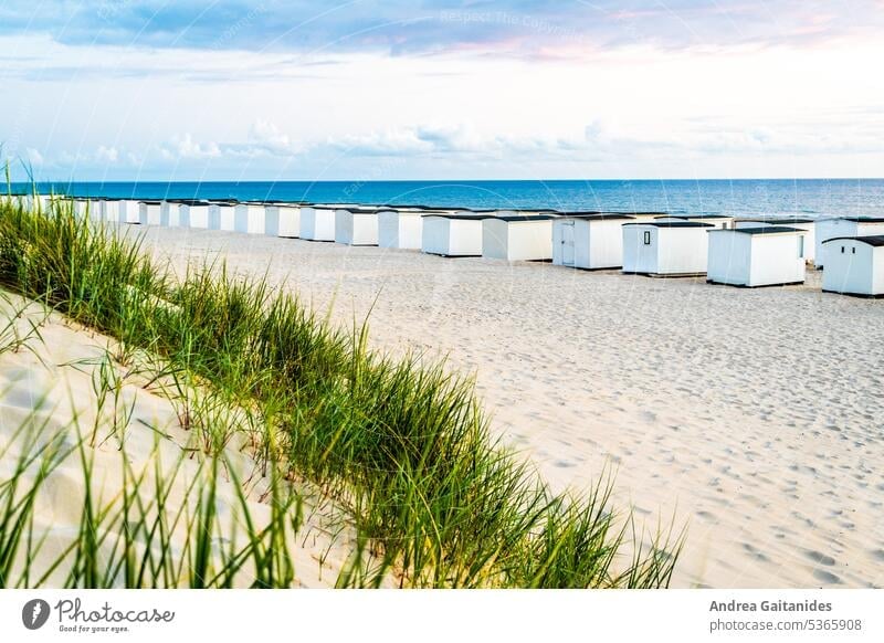 View of Løkken bathhouses and the North Sea from the dune, dune and beach grass in the foreground, horizontal Bath house Changing cabine Denmark Danish Beach