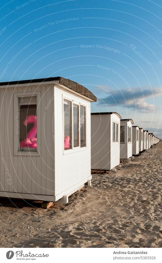 Bath houses on the beach of Løkken, in the foremost one a pink puffed up flamingo can be seen inside, vertical Changing cabine Denmark Danish Beach bay White