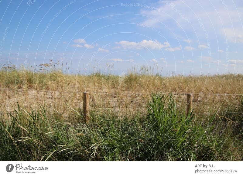 Baltic sea dune with wire fence duene plants grasses nature conservation Clouds Sky wooden posts Fence Wire Wire fence Grass Marram grass baltic dune Baltic Sea