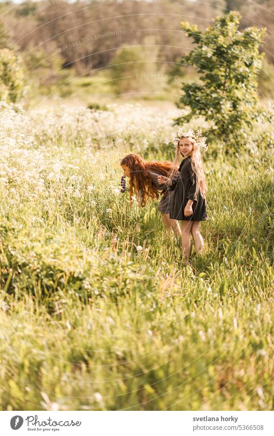 Two friends collect flowers in the field Waldorf natural light Natural color Flower pretty Beauty & Beauty youthful redhead Girl naturally Smiling long hairs