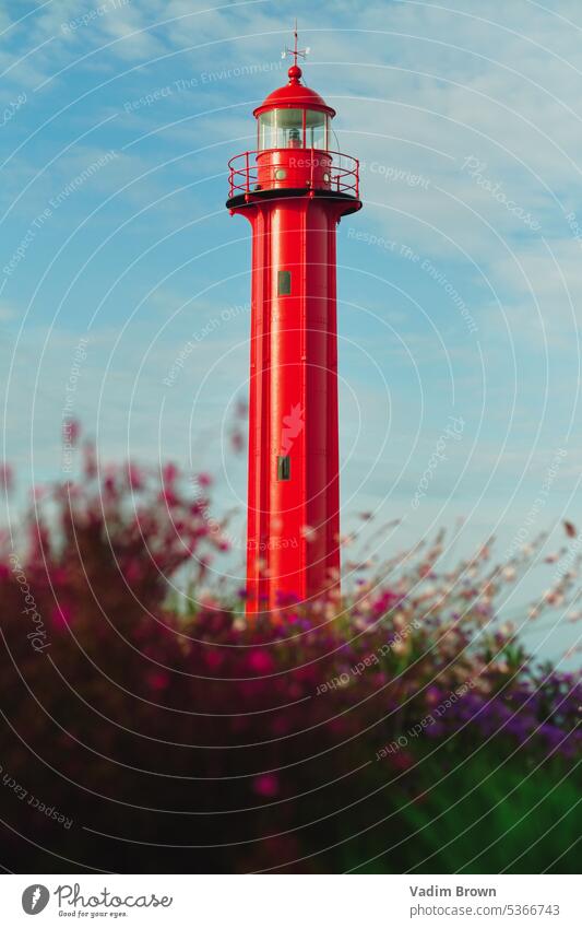 Red lighthouse in lisbon Lighthouse romantic Moody Landscape Vacation & Travel Island Retro Colours Sky Bushes flowers red