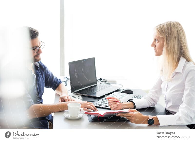 Business meeting. Client consulting. Confident business woman, real estate agent, financial advisor explaining details of project or financial product to client in office.