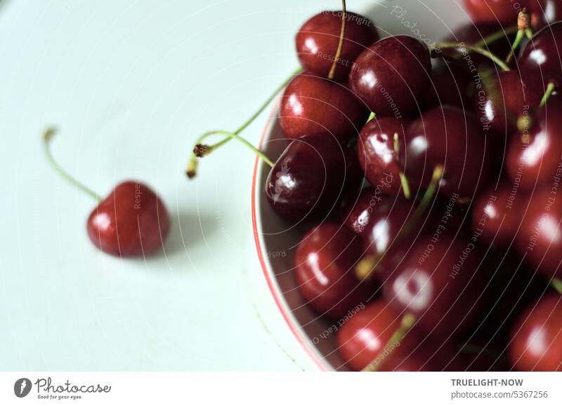 View from above, a bowl with red cherries on white background Fresh Mature Red shell White half stalk Green fruit Summer fruits Joy Juicy Delicious cute