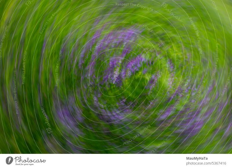 Abstract paintings from nature international camera movement modern Nature Green flowers beautiful elegance Grass spring floral bouquet elegant background