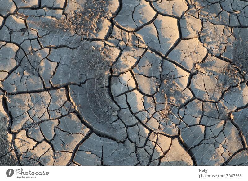dried up soil with cracks on a field in the evening sun Earth Ground Field acre Dry parched Drought Environment Climate change Summer aridity Nature Brown
