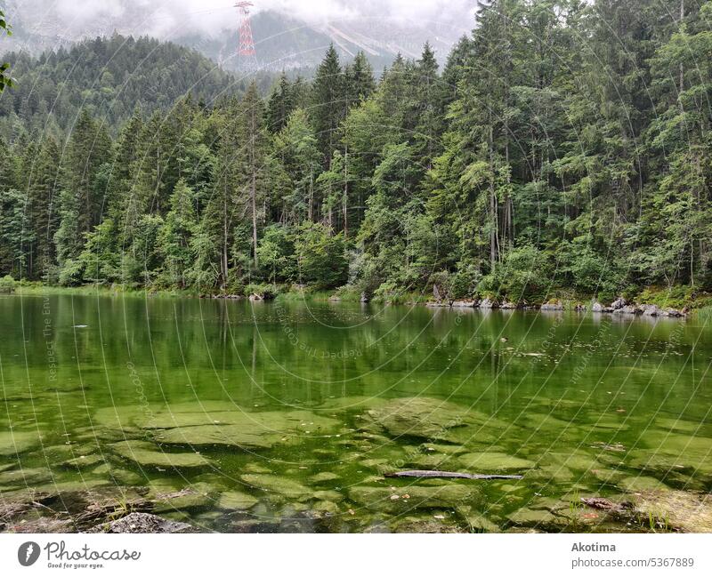 Greenish lake in front of forest Summer Lake Exterior shot Vacation & Travel Hiking Environment mountains Landscape Haze Mountain lake Nature Water Pond