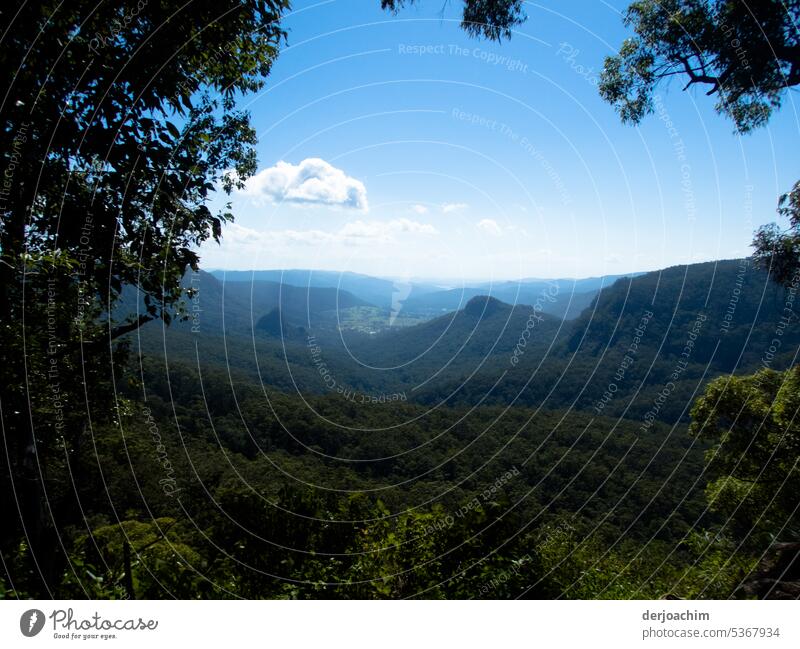 A hike in the hinterland of the Gold Coast in the rainforest Hike" Nature Forest Exterior shot Landscape Environment Colour photo Hiking trip Mountain Trip