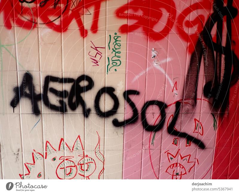 Graffiti wall writing:  A E R O S O l Deserted Colour photo Facade Characters Sign Exterior shot Wall (barrier) Word Mural painting Remark Youth culture