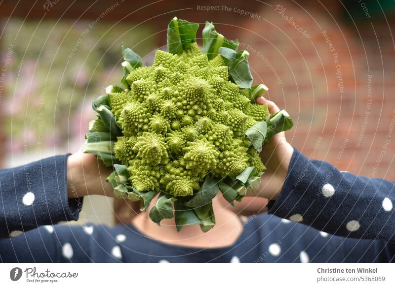 low calorie | cabbage Romanesco Broccoli Cauliflower low in calories Brassica oleracea 'Romanesco' Cabbage salubriously vegan vegetarian Vitamin-rich Diet