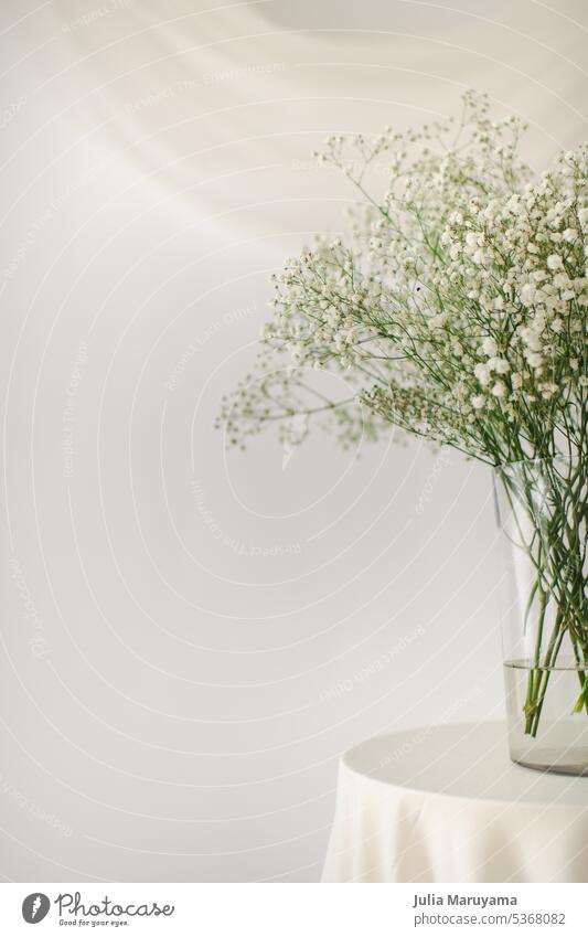 Glass vase with floral bouquet of baby-s breath flowers and cloth table top on a white background baby's breath baby's-breath white flowers abstract artistic