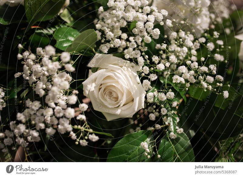 Close up of flower bouquet in sunlight with baby's-breath and a white rose wedding roses baby's-breath flowers love nature beauty bridal floral celebration