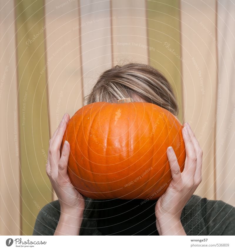 pumpkin head Vegetable Pumpkin Hallowe'en Human being Feminine Young woman Youth (Young adults) Head Hair and hairstyles Hand 1 18 - 30 years Adults Blonde