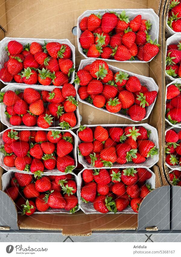 Strawberries in hulls ready for sale Strawberry bowls paperboard Cardboard Retail sector fruit Food Fresh Fruit Red Delicious Nutrition Healthy Vitamin Summer