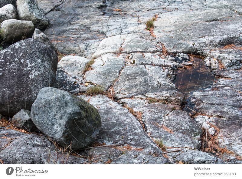 A rutted piece of rock with lichen, grass, stone chunks and single puddles Nature detail Stone Rock Brocken mineralogy Ground disk furrows fissures naturally