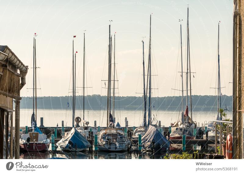 A yacht club on a large lake, the boats are still at rest Boating trip Yacht Club Lake Sports Watercraft bank Holiday season Morning Vacation & Travel hobby