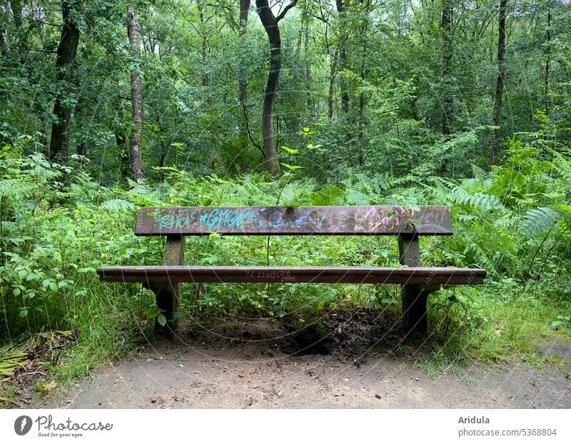 A bench in the rainy forest No. 2 Bench Forest Relaxation Break Seating Calm Deserted Loneliness Park bench Wooden bench Sit Nature Exterior shot Green Grass