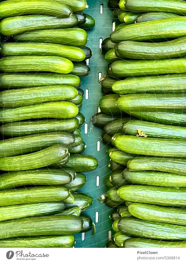 UT Bock on Bochum Cucumbers Nutrition Green Food Healthy Eating Vegetable Organic produce Vegan diet Fresh Vitamin-rich