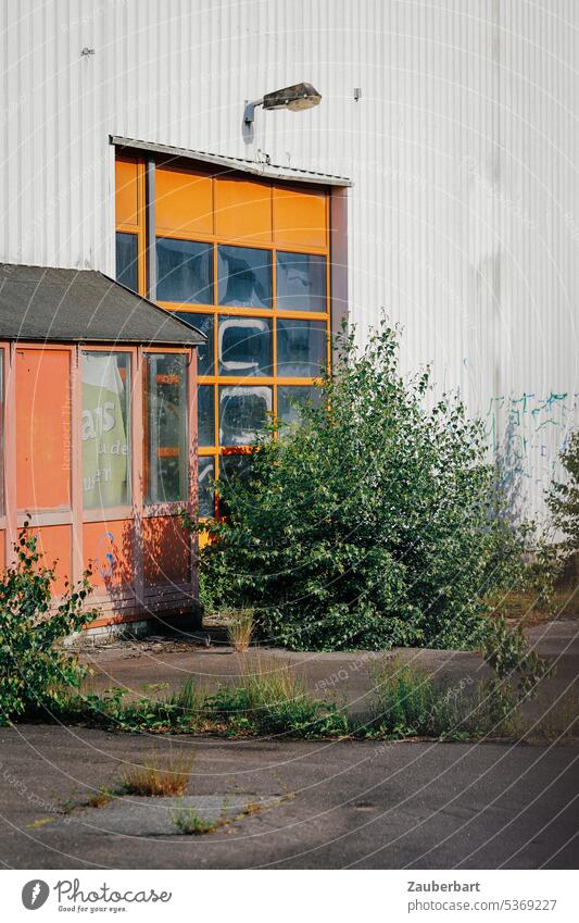Orange gate in wall of commercial building, bush, asphalt, symbolizes abandonment and transience Goal Commerce Building Industrial zone forsake sb./sth. Gloomy