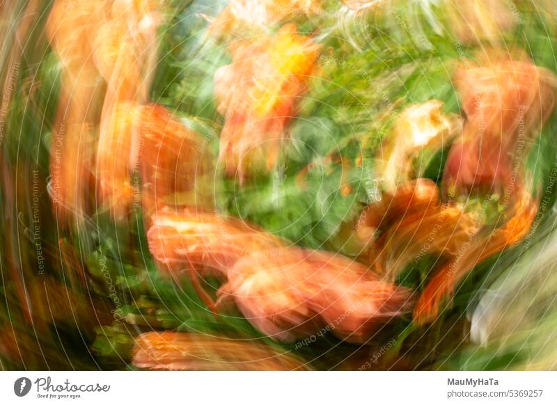 deliberate camera movement Movement Exterior shot Abstract Multicoloured Colour photo Experimental Speed Art Detail Long exposure Pattern Motion blur