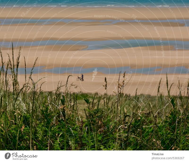 At low tide on the beach Beach Low tide Ocean Water Tide ebb and flow Sand Horizon Summer Stripe Pattern Vacation & Travel Exterior shot Colour photo Deserted