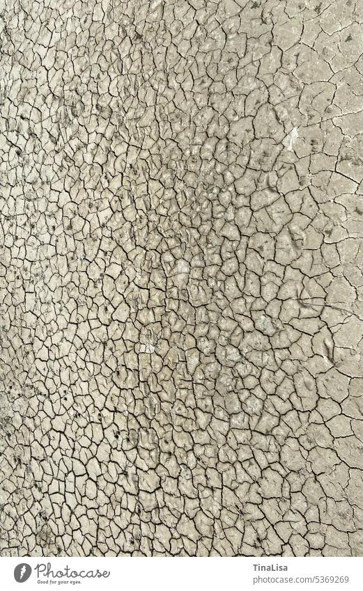 Dried ground with cracks Shriveled Ground Earth Crack & Rip & Tear Dry parched Brown Drought Hot aridity Summer Nature Environment Climate Climate change