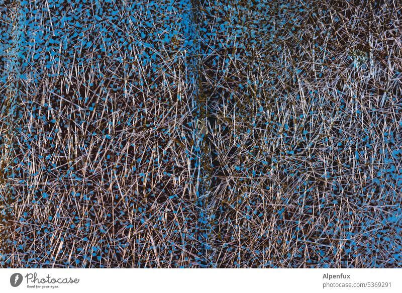 herd formation Surface Structures and shapes Colour Close-up Abstract Detail Surface structure Pattern Destruction Trashy Background picture Transience Decline