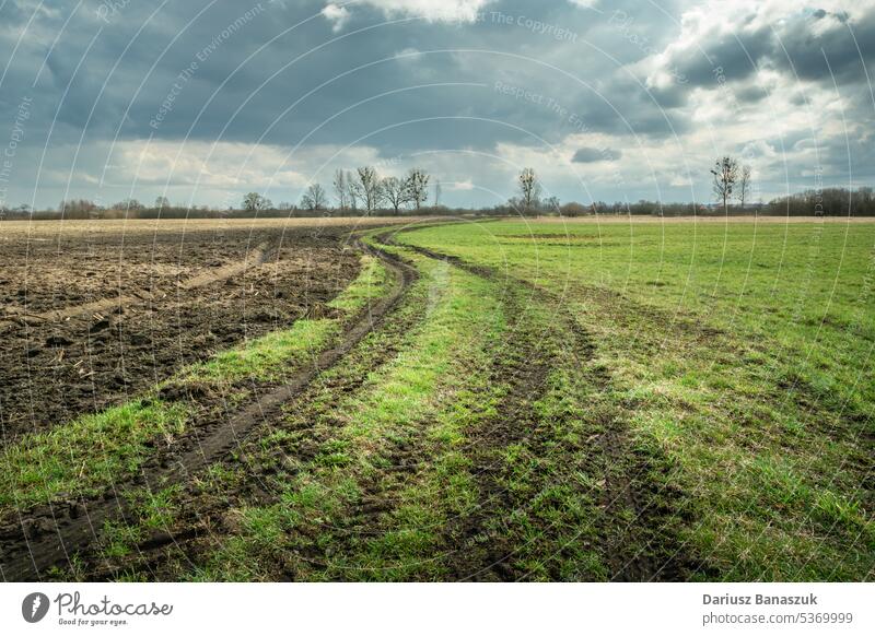 Rural road between a meadow and a plowed field, view on a cloudy spring day rural sky land blue grass nature agriculture farm landscape horizon dirt country