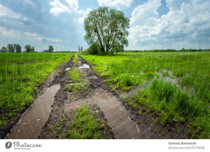 Water after rain on dirt road and green meadow water field grass puddle nature mud rural sky landscape wet country countryside weather path muddy horizon ground