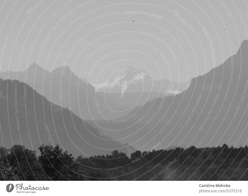 View of the Gross- and Kleinschärhorn Peak Grossschärhorn Small warping horn mountains Snowy Mountains snow peaks Switzerland Alpine Alps Uri Alps of Uri Nature