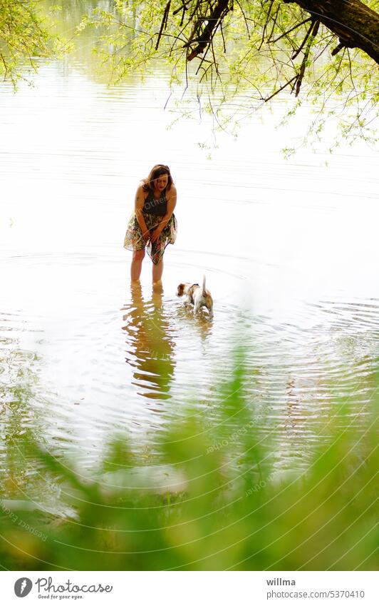 Woman standing in shallow water with bare legs talking to her dog Dog Water River Lake bank bathe Humans and animals Summer Relaxation River bank Lakeside