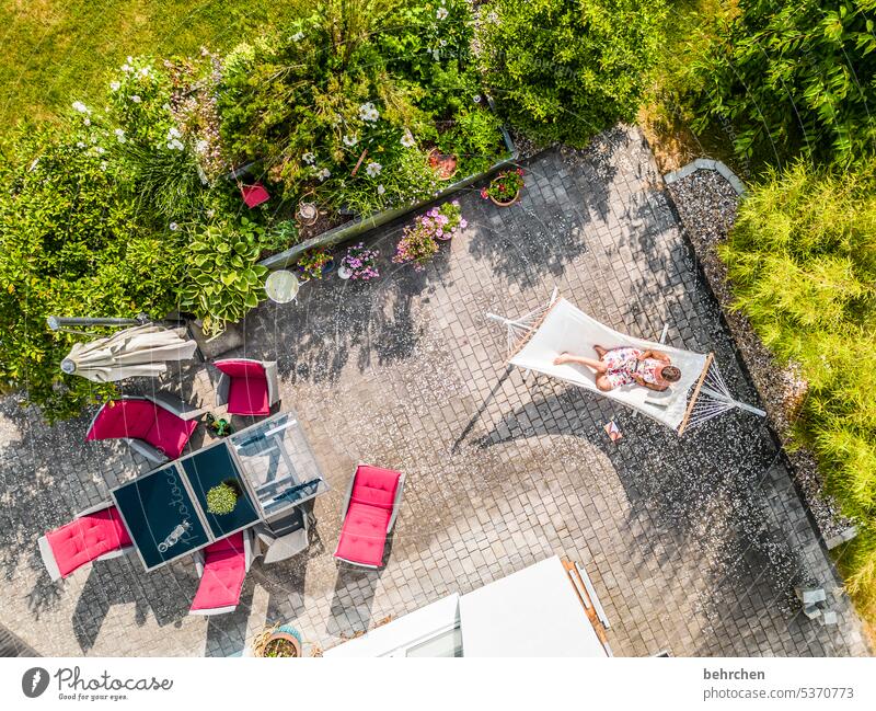 sunday is for resting flowers plants Bird's-eye view UAV view drone from on high Terrace Garden at home Hammock Plant Nature Colour photo Summery Warmth