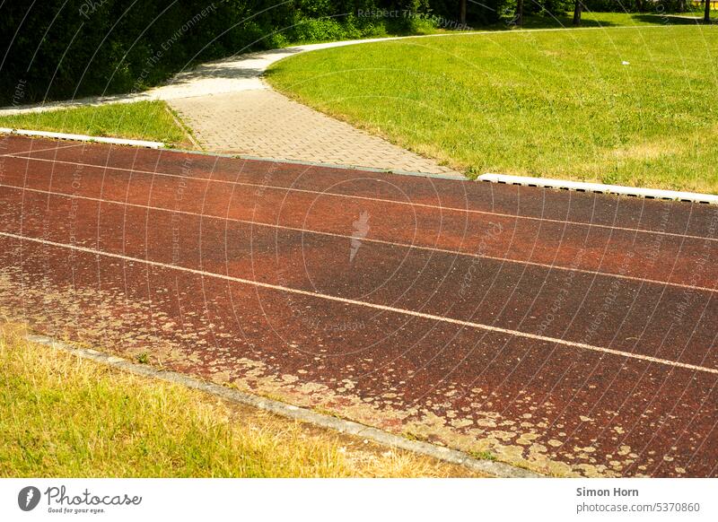 Tartan track with branch tartan track Turn off Sporting grounds race Plastic sheet Sports Running track Track and Field Lawn Ground surface Tracks Racecourse
