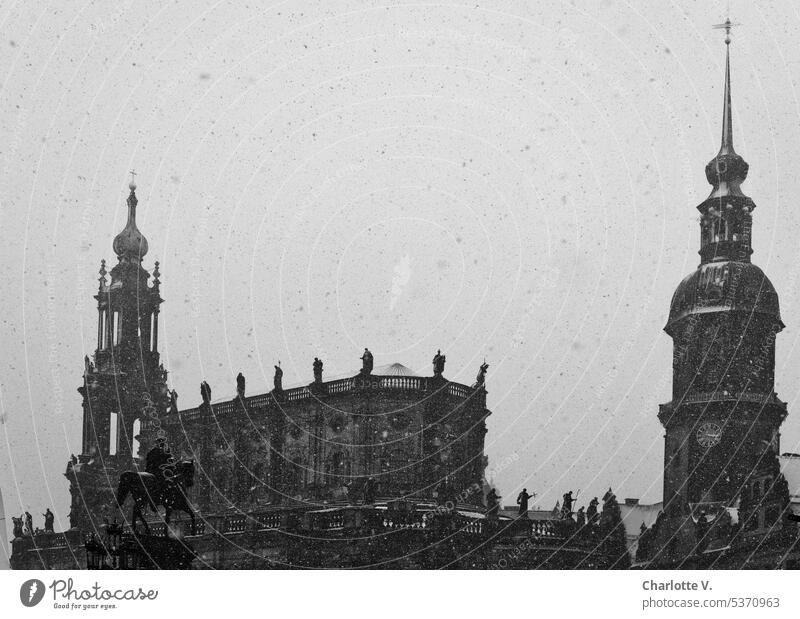 Gray in gray | It's snowing in Dresden | Dresden Old Town in a snow flurry grey in grey Dresden old town Architecture Old town Historic Saxony