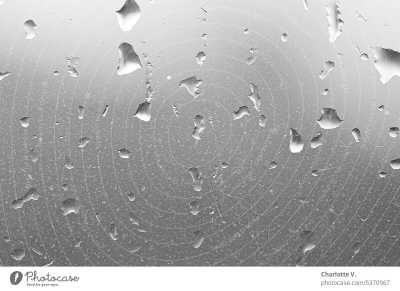 Gray in gray | Raindrops on a window pane grey in grey raindrops Drop Window pane Close-up Drops of water Wet Bad weather Weather Water Detail Rainy weather