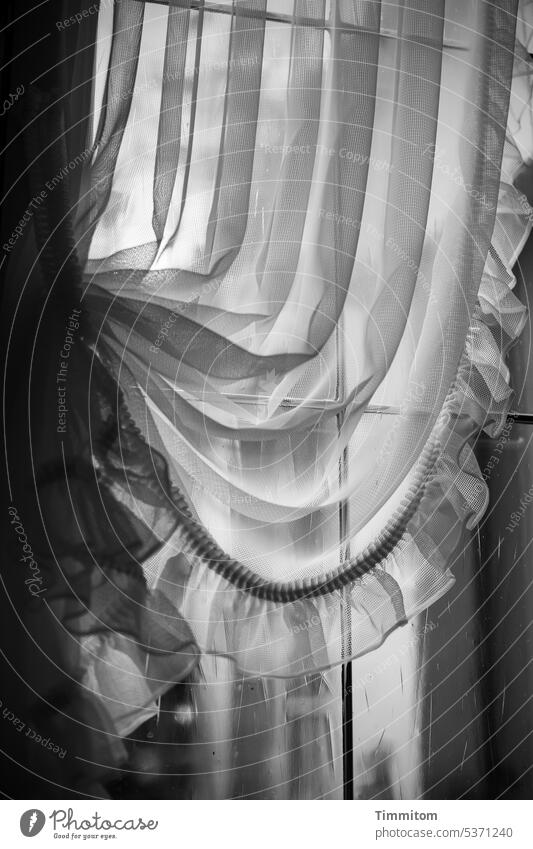 Curtain, somehow earlier... crease Folds Window Window pane Glass Light light and dark Shadow Screening Deserted Black & white photo indoors and outdoors