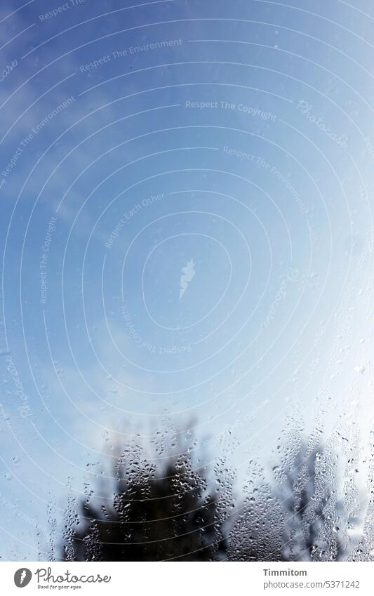 Refreshing rain Rain raindrops Window pane Glass Misted up Sky Blue Clouds trees Drops of water Weather Deserted