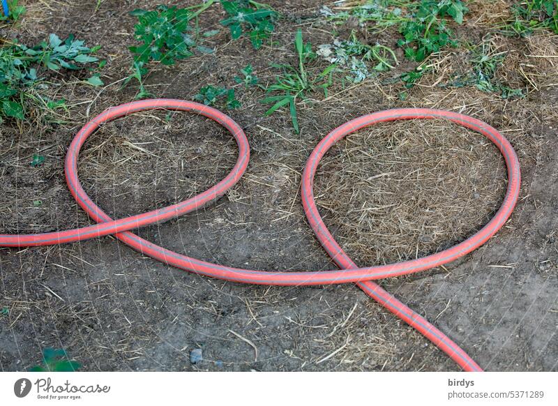 Water hose looped in pretzel shape gobbled Garden hose Ground Bird's-eye view Hose Irrigation Gardening Earth