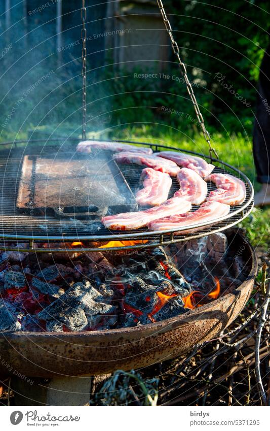 Grilling meat over an open fire BBQ Fire Meat BBQ season fire bowl Nutrition Embers Smoke Summer Delicious Hot Garden Steak Bratwurst Barbecue area swivel grill
