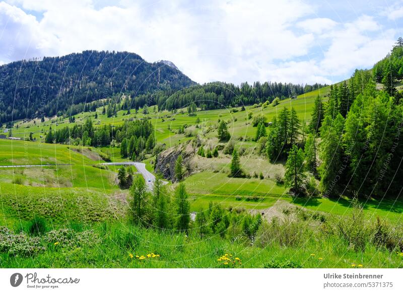 mountain scenery Mountain Green Alps Nature Landscape Exterior shot Deserted Environment nauders Tyrol slope Slope Vacation & Travel Mountain landscape Street