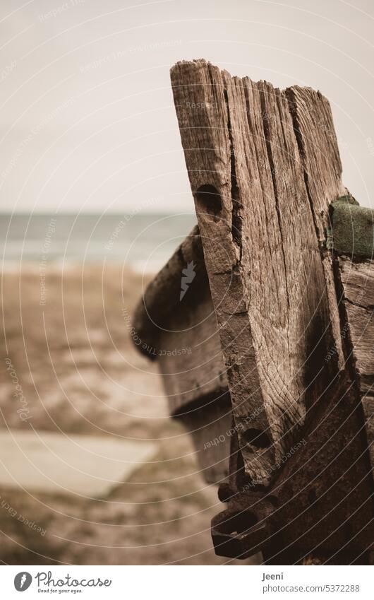 Old shipwreck on the beach boat Beach Wood Water Ocean coast Ravages of time Change Detail Broken Weathered Transience bow Retro Structures and shapes