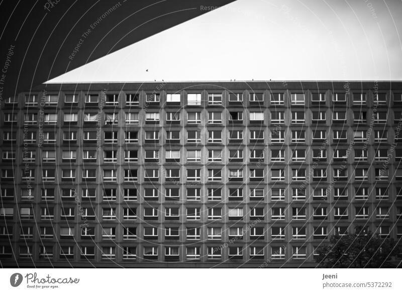 neighborhoods Pattern even Side by side Perspective block of flats City Berlin Gray Anonymous Overpopulated Apartment Building House (Residential Structure)