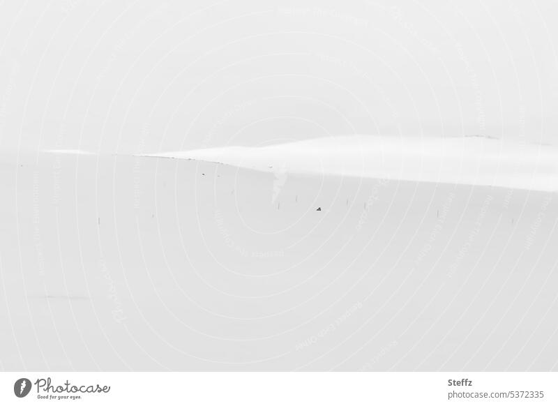 Snow, hills and sky in Iceland Winter Silence East Iceland Snowscape Snow layer Empty unadulterated White Gray Calm snow-covered Hilly landscape Icelandic snowy