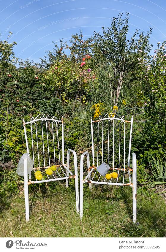 Garden chairs Garden plot Arbour Exterior shot Summer Nature Colour photo Deserted White romantic free time Garden allotments hobby Green plants shrubber Couple