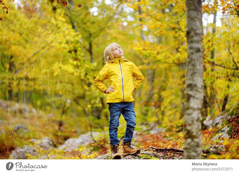Elementary school boy walks forest in Lovcen National Park, Montenegro on an autumn day. An inquisitive boy exploring nature. Tourism and travel for family with kids.