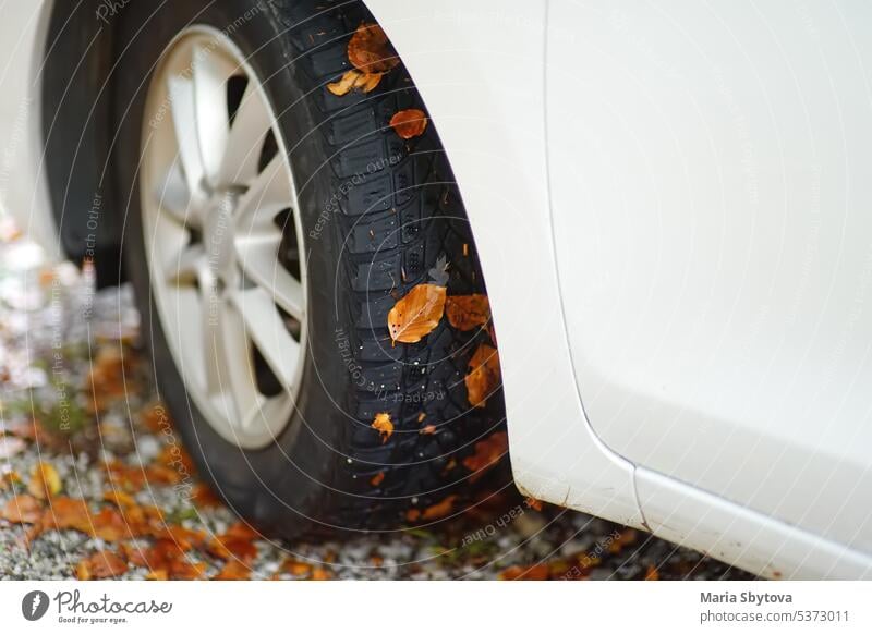 White automobile is in the mountains on autumn day. Wheel of car on gravel road with fallen leaves stuck to it. Road trip in european Alps. Travel and tourism.