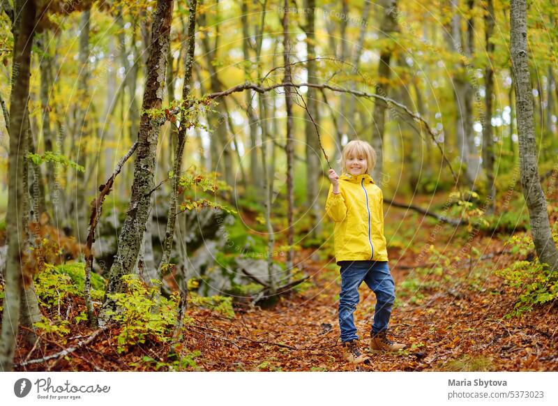 Elementary school boy walks in Lovcen National Park in Montenegro on an autumn day. A curious boy explores nature. Tourism and travel for families with children.