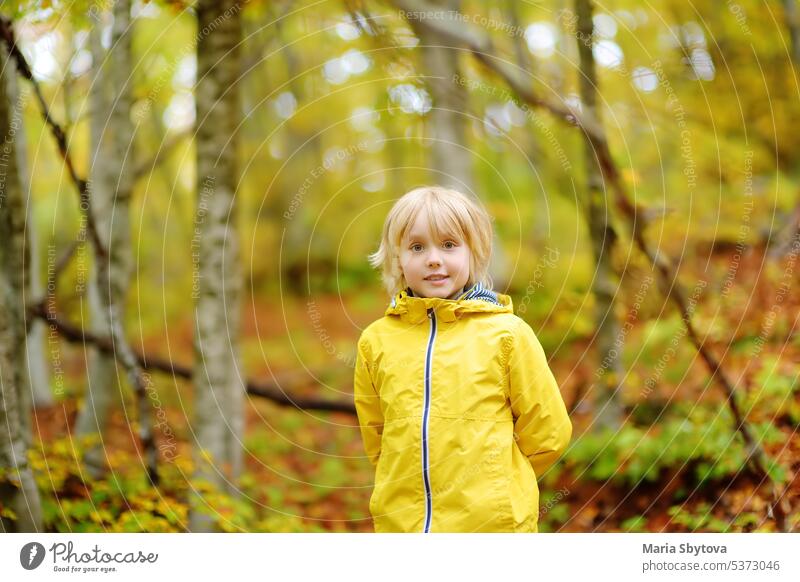 Elementary school boy walks in the forest on an autumn day. An inquisitive boy exploring nature. Tourism and travel for family with kids. child surprised fall