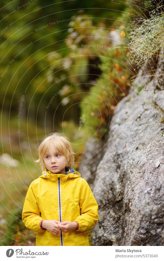 Elementary school boy walks in the forest on an autumn day. An inquisitive boy exploring nature. Tourism and travel for family with kids. child surprised fall