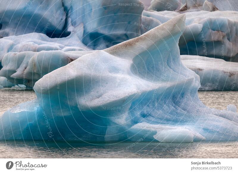 Anyone need ice? Icebergs Iceland floating ice Floating glacial jokulsarlon Jökulsárlon complete Adventure Attraction Blue Water travel South Iceland Landscape