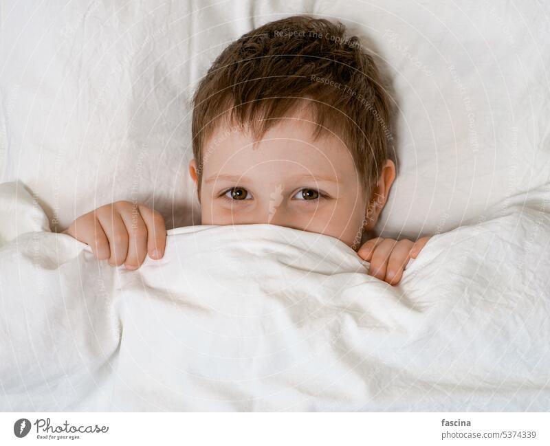 Young boy in bed before going to sleep mischief play young smile smiling bedtime pillow covers four-year-old lies child bedroom cozy cute curiosity innocent